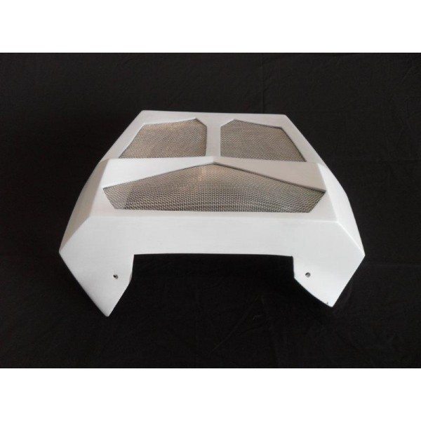 Harley Davidson V-Rod Vrod VRSC Custom Radiator Cover