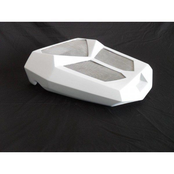 Harley Davidson V-Rod Vrod VRSC Custom Radiator Cover