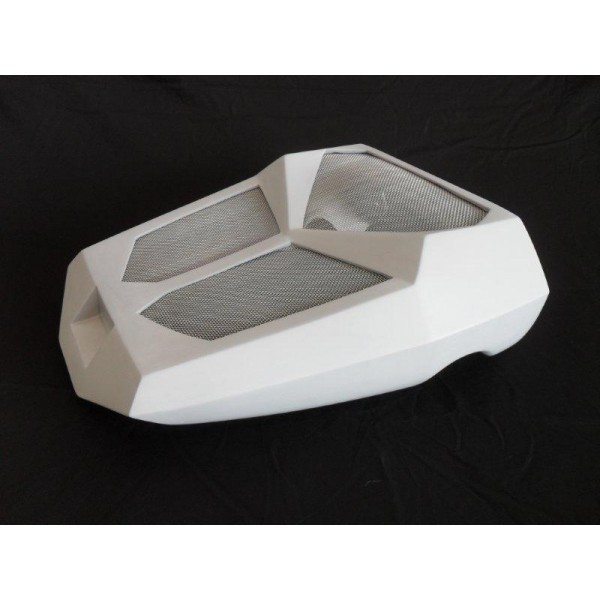 Harley Davidson V-Rod Vrod VRSC Custom Radiator Cover